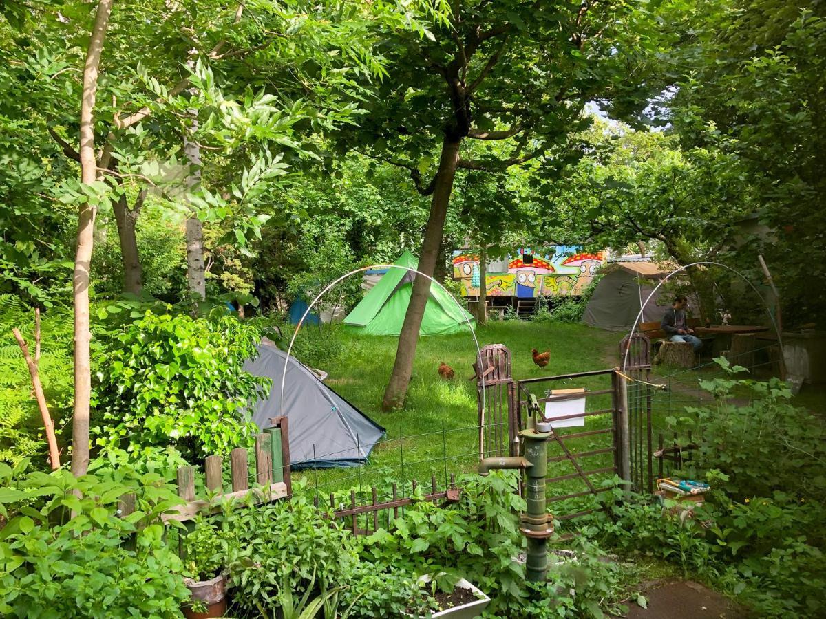 Sandino Hostel